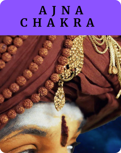 Living Enlightenment